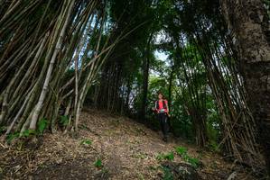 BIB: 
                            <button type="button" onclick="openModal(19395747)" class="btn btn-primary btn-sm float-right btn-popup" data-toggle="modal" data-target=".modal-high-quality">
                        <i class="fas fa-shopping-cart"></i> Add to Cart
                    </button>
                                            <button type="button" onclick="isThisMe(19395747, true)" class="btn btn-success btn-sm float-right btn-popup btn-isme hidden" data-toggle="tooltip" data-placement="bottom" title="นี่คือรูปของคุณใช่ไหม คลิกที่นี่เพื่อเอาเข้าอัลบั้ม">
                        <i class="fas fa-plus"></i> Add to album
                    </button>
                    <button type="button" onclick="isThisMe(19395747, false)" class="btn btn-warning btn-sm float-right btn-popup btn-isnotme hidden">
                        <i class="fas fa-ban"></i> Remove from album
                    </button>